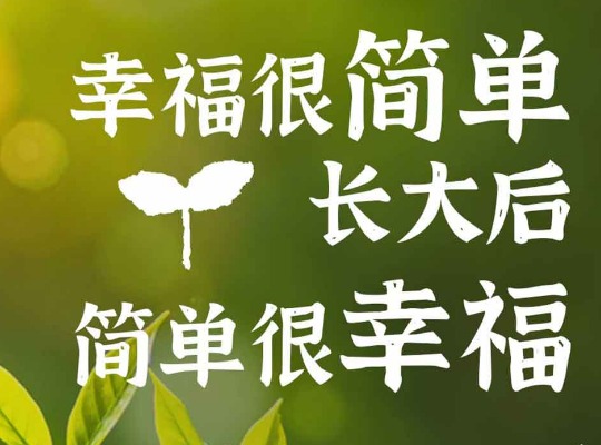 Amway, 安利
