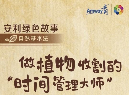 Amway, 安利