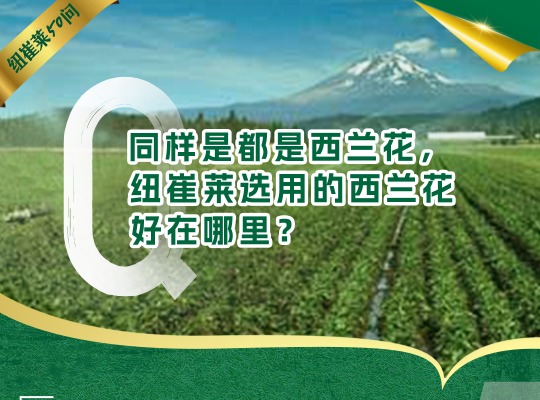 Amway, 安利