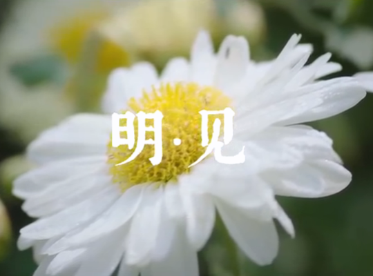 Amway, 安利