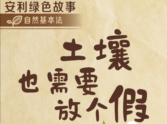 Amway, 安利