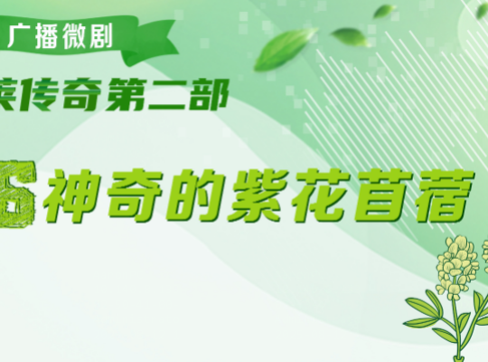 Amway, 安利