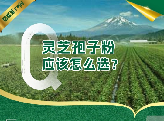 Amway, 安利