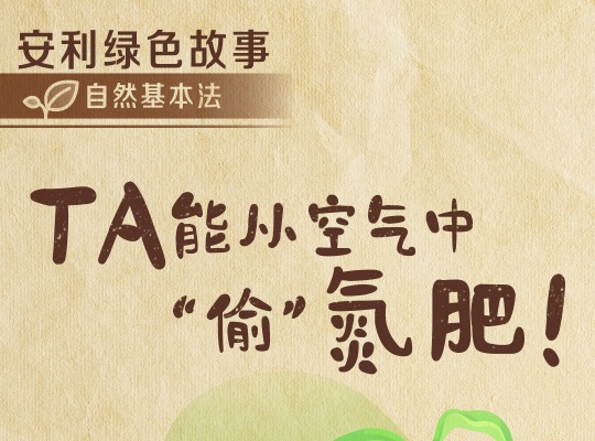 Amway, 安利
