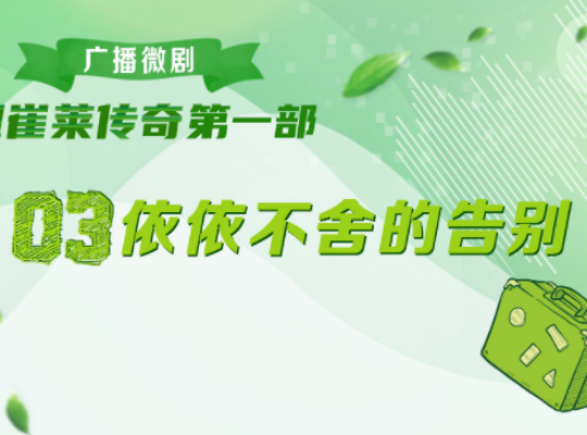 Amway, 安利
