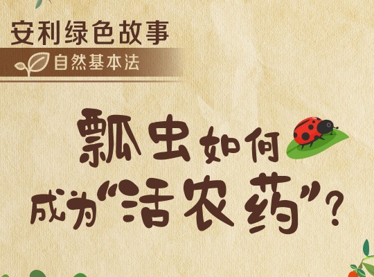 Amway, 安利