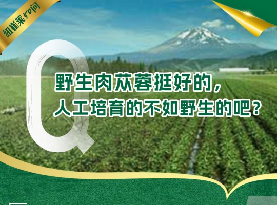 Amway, 安利