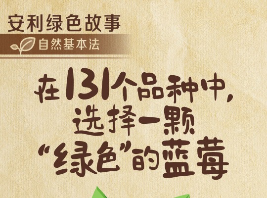 Amway, 安利