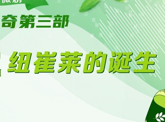 Amway, 安利