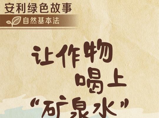 Amway, 安利
