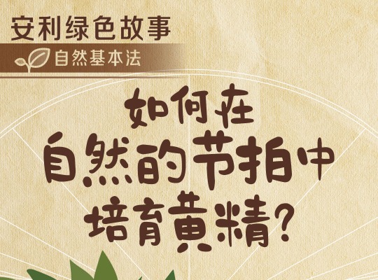 Amway, 安利