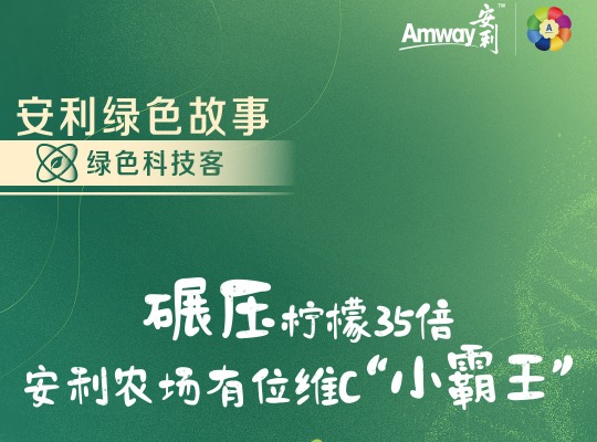 Amway, 安利
