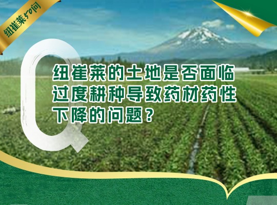 Amway, 安利