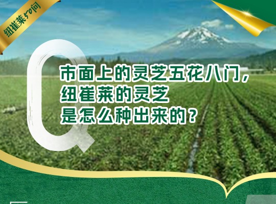 Amway, 安利