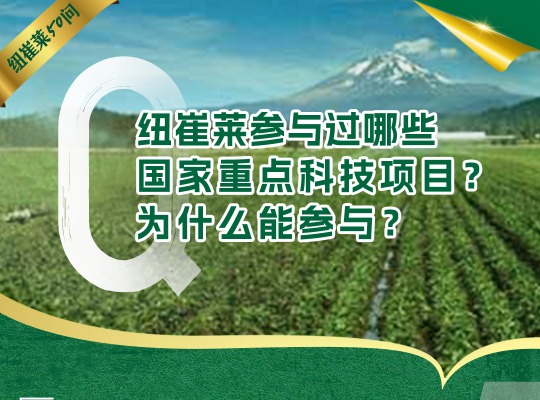 Amway, 安利
