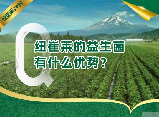 Amway, 安利