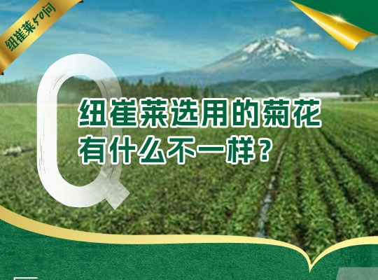 Amway, 安利