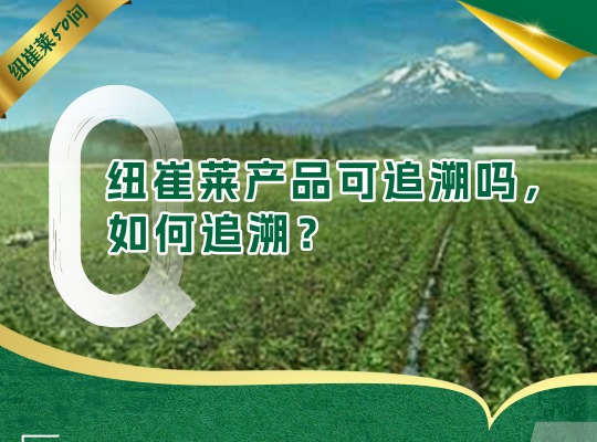 Amway, 安利