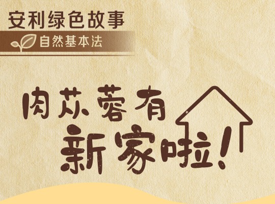Amway, 安利