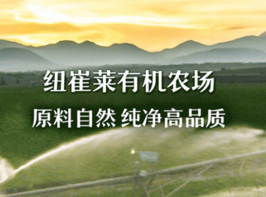 Amway, 安利