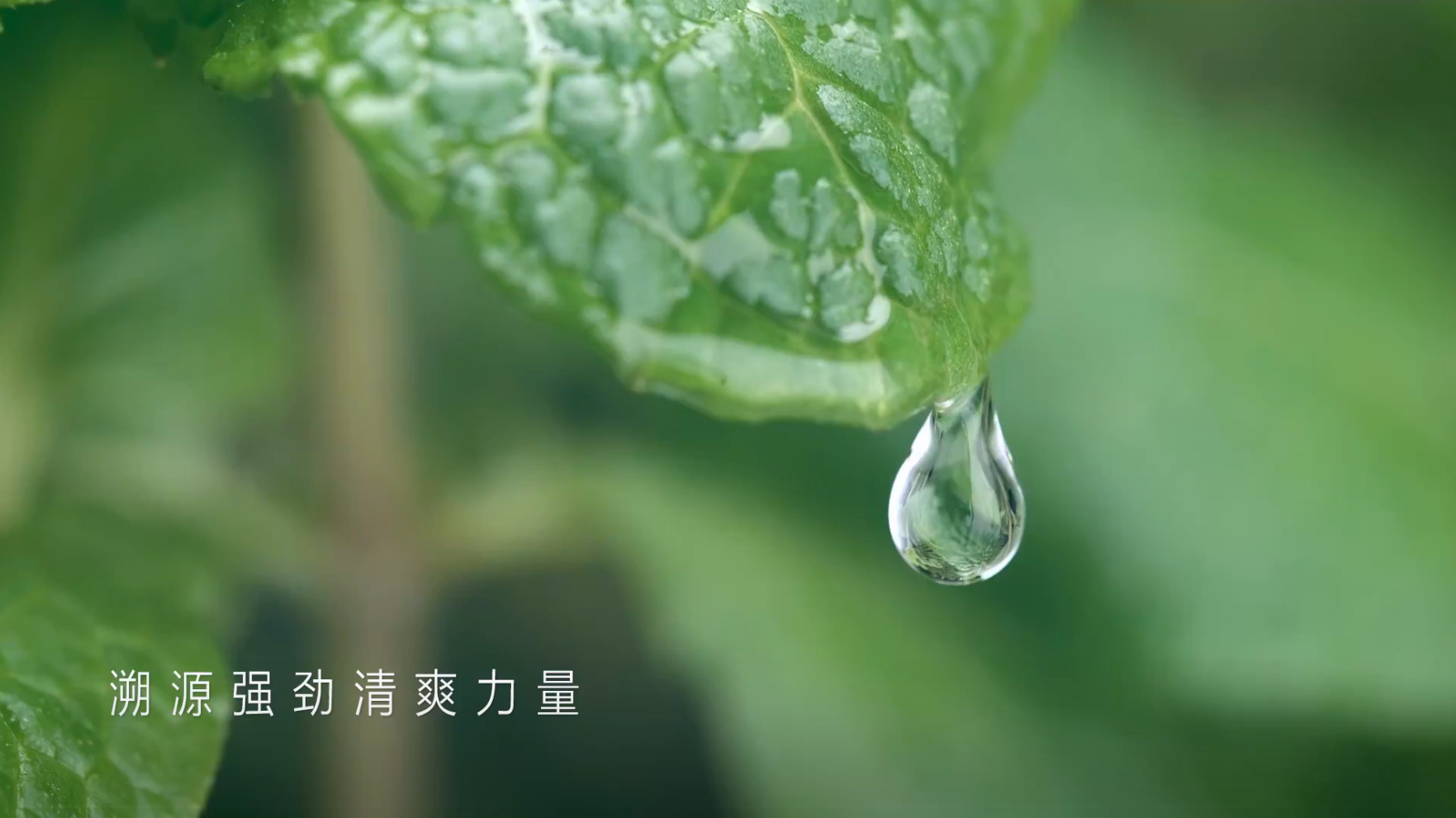 Amway, 安利