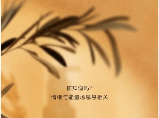 Amway, 安利