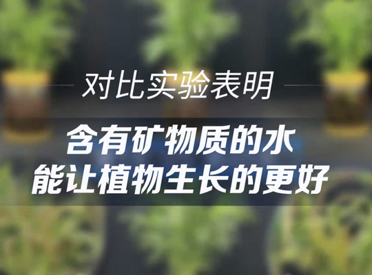 Amway, 安利
