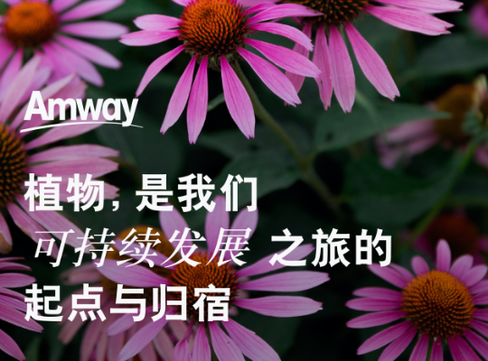 Amway, 安利